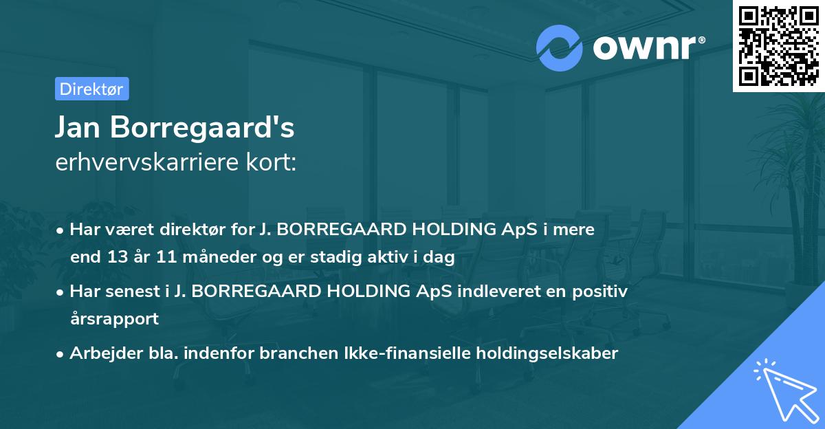 Jan Borregaard's erhvervskarriere kort