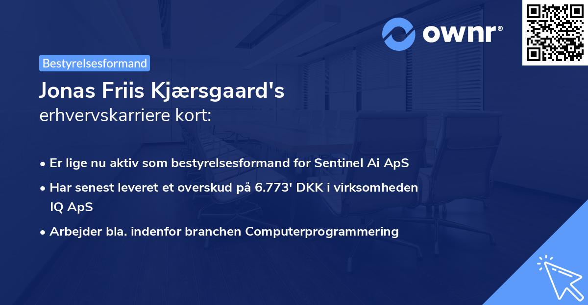 Jonas Friis Kjærsgaard's erhvervskarriere kort