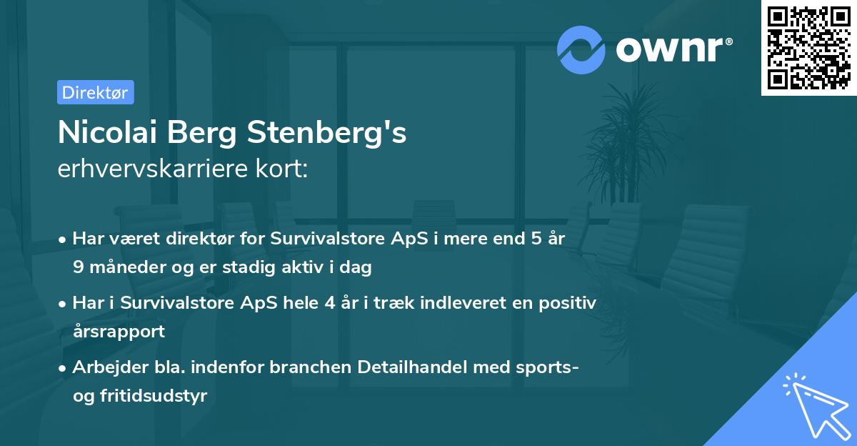 Nicolai Berg Stenberg's erhvervskarriere kort