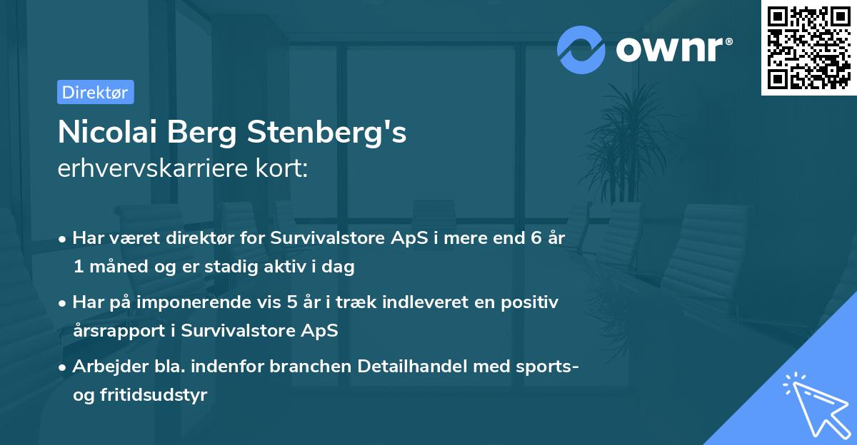 Nicolai Berg Stenberg's erhvervskarriere kort