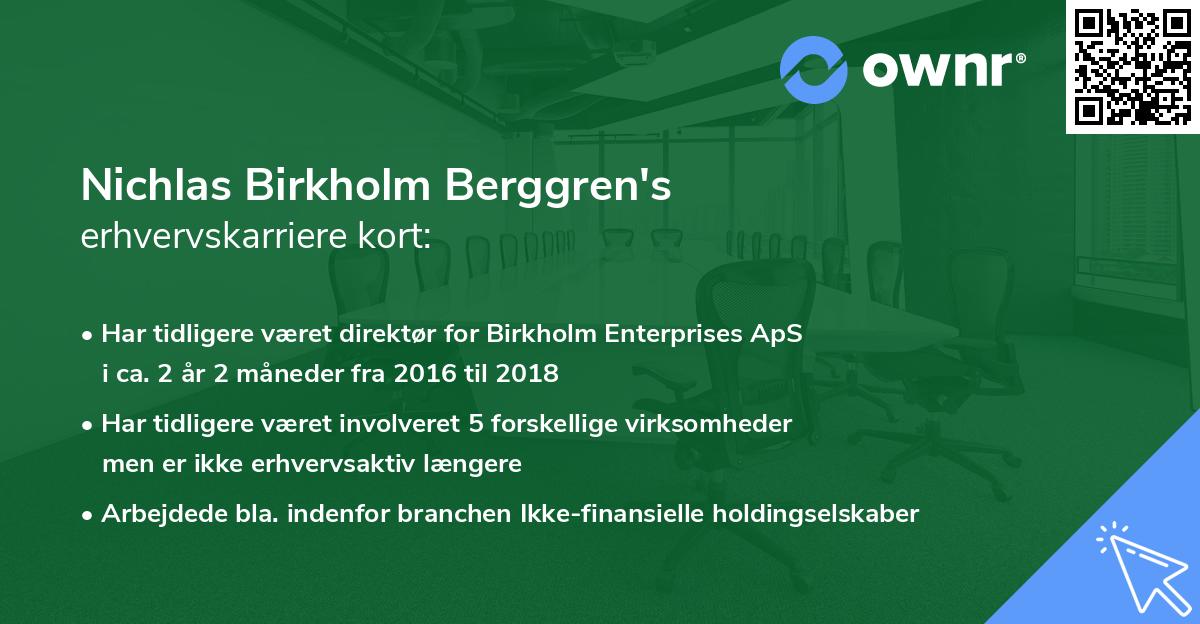 Nichlas Birkholm Berggren's erhvervskarriere kort