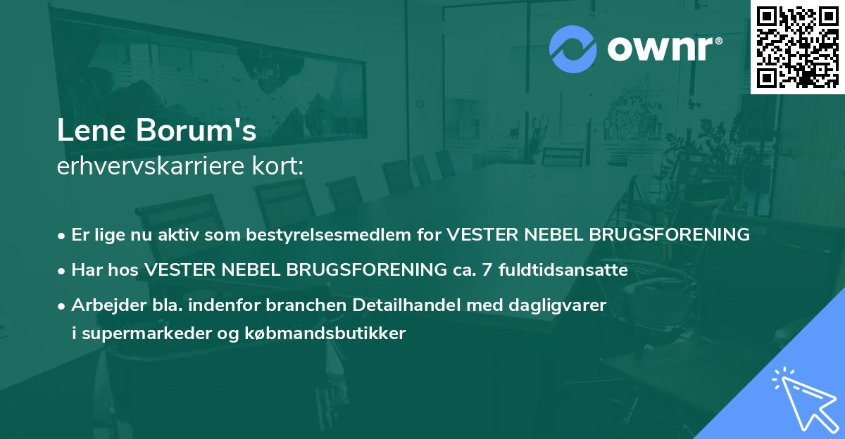 Lene Borum's erhvervskarriere kort