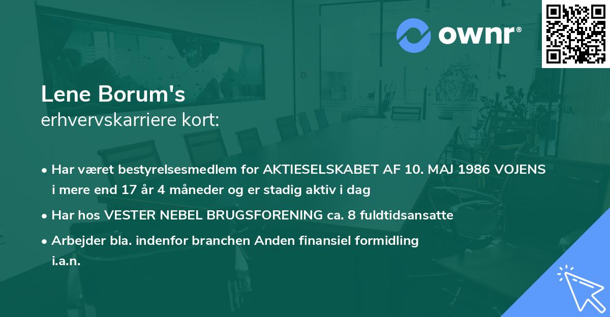 Lene Borum's erhvervskarriere kort