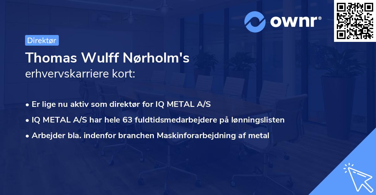 Thomas Wulff Nørholm's erhvervskarriere kort