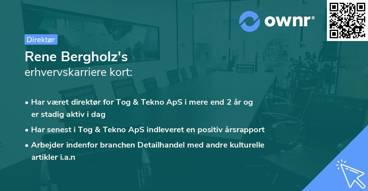 Rene Bergholz's erhvervskarriere kort