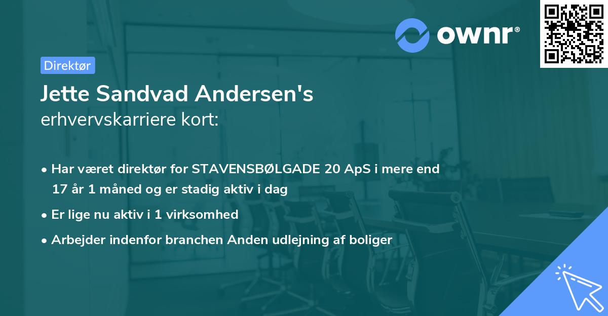 Jette Sandvad Andersen's erhvervskarriere kort