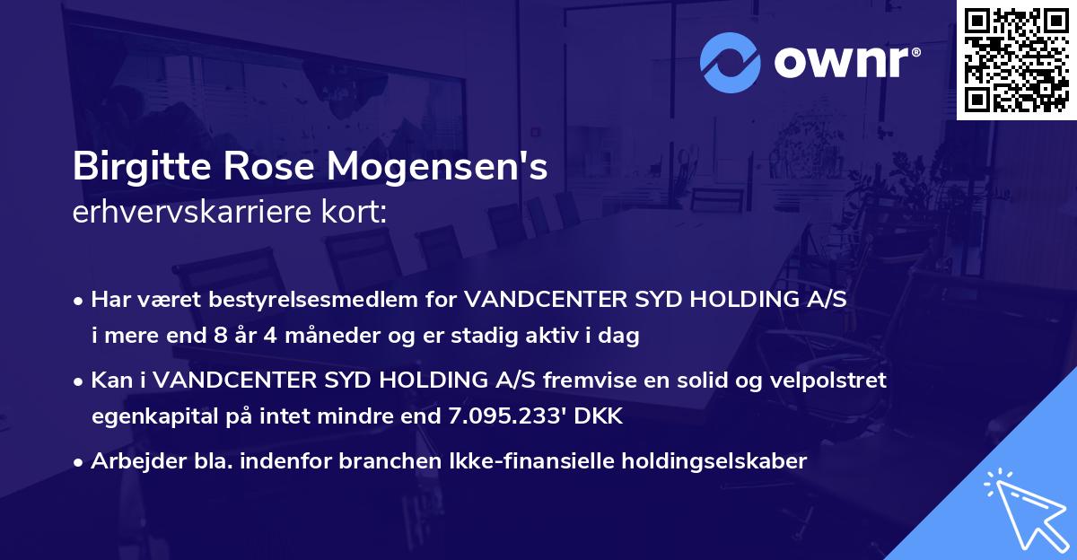 Birgitte Rose Mogensen's erhvervskarriere kort