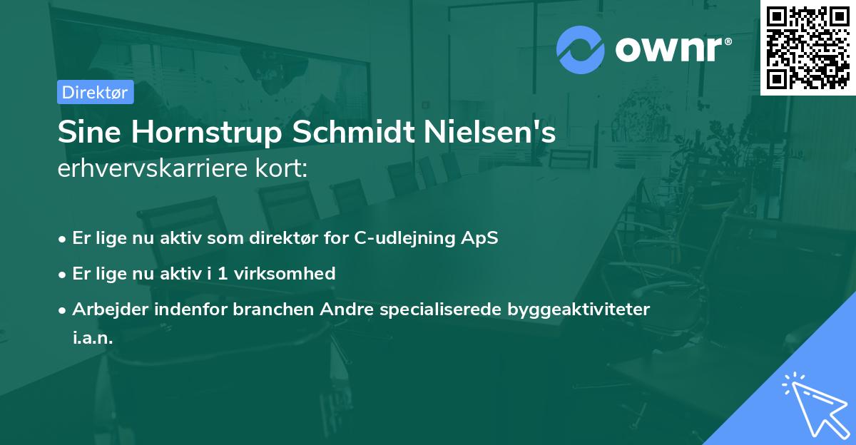 Sine Hornstrup Schmidt Nielsen's erhvervskarriere kort