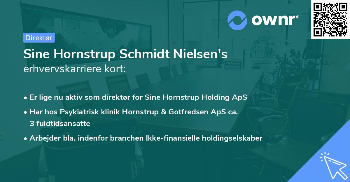 Sine Hornstrup Schmidt Nielsen's erhvervskarriere kort