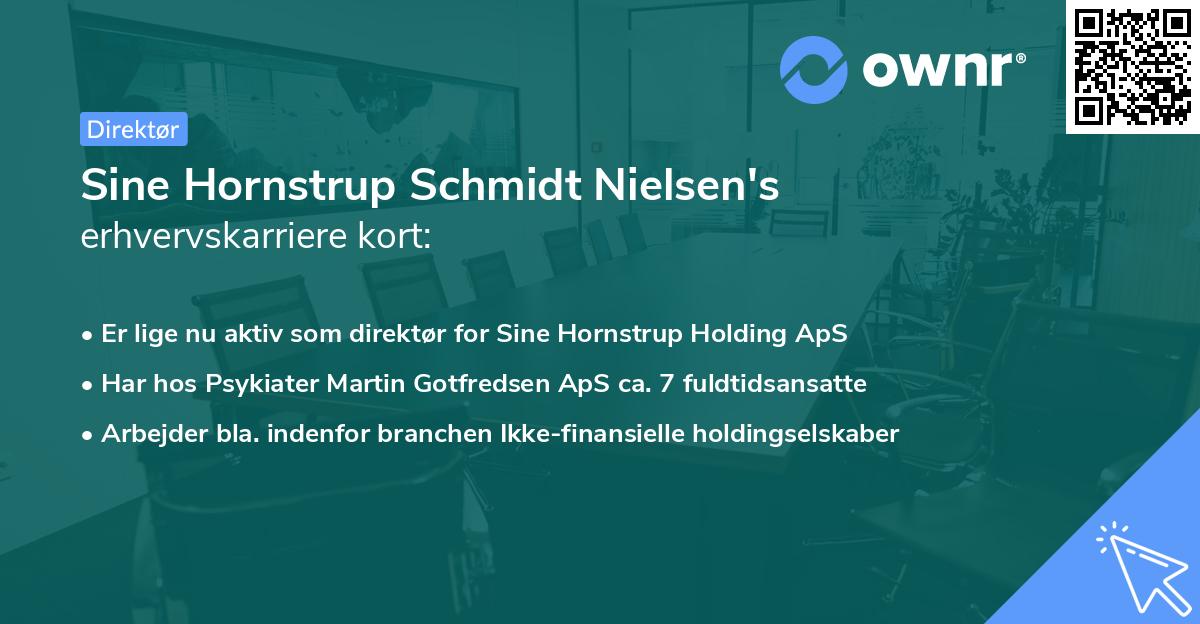 Sine Hornstrup Schmidt Nielsen's erhvervskarriere kort