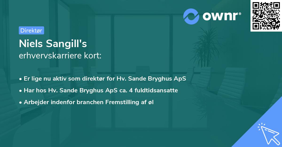Niels Sangill's erhvervskarriere kort