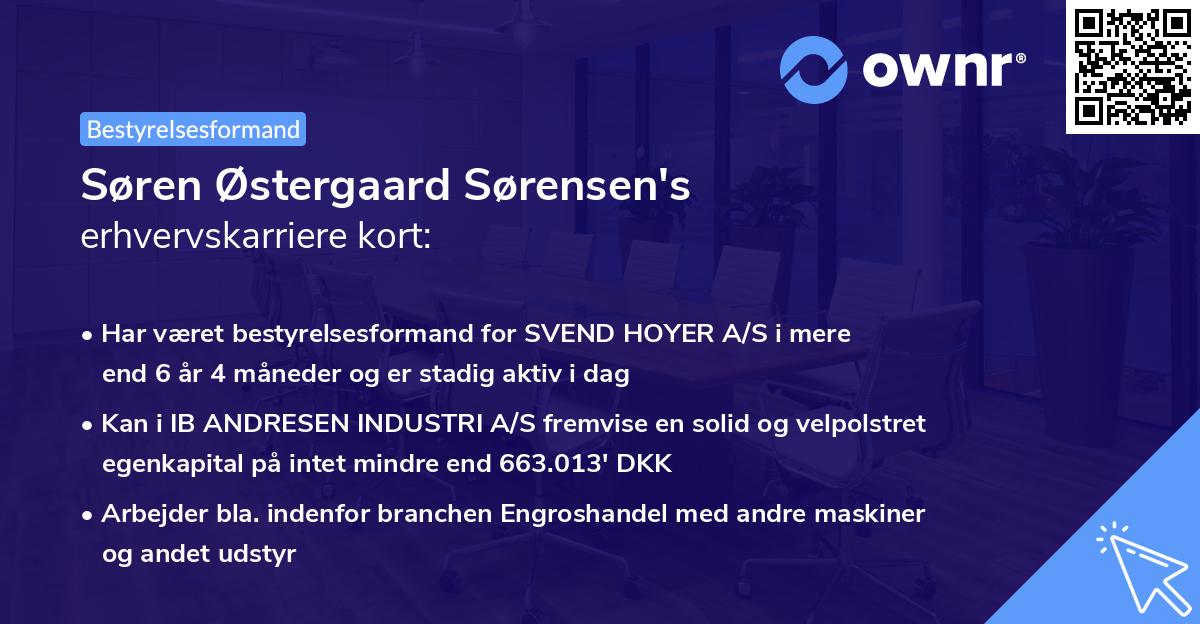 Søren Østergaard Sørensen's erhvervskarriere kort