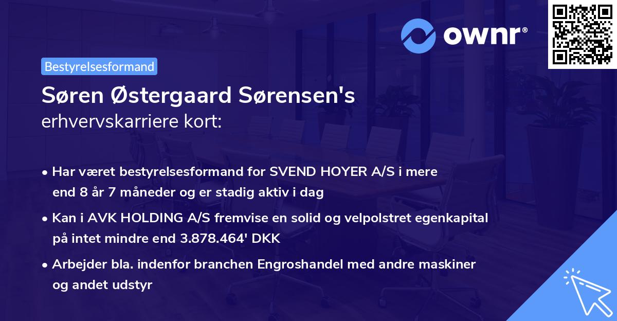 Søren Østergaard Sørensen's erhvervskarriere kort