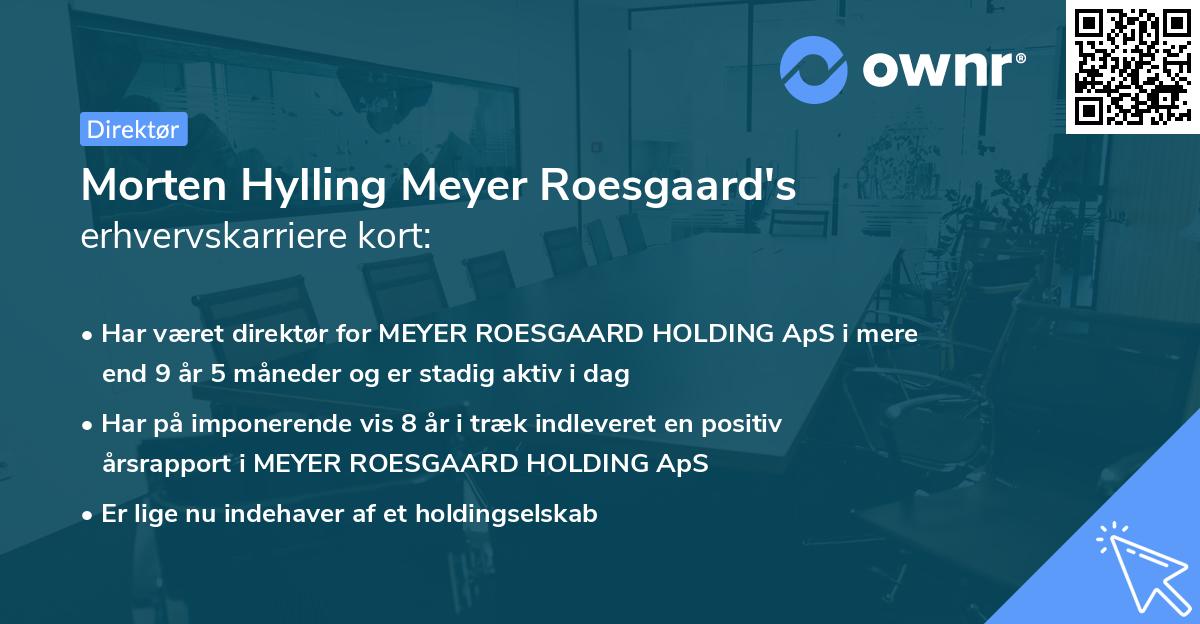 Morten Hylling Meyer Roesgaard's erhvervskarriere kort