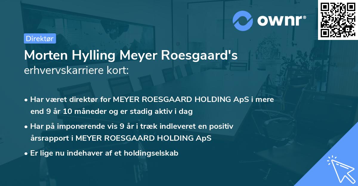 Morten Hylling Meyer Roesgaard's erhvervskarriere kort