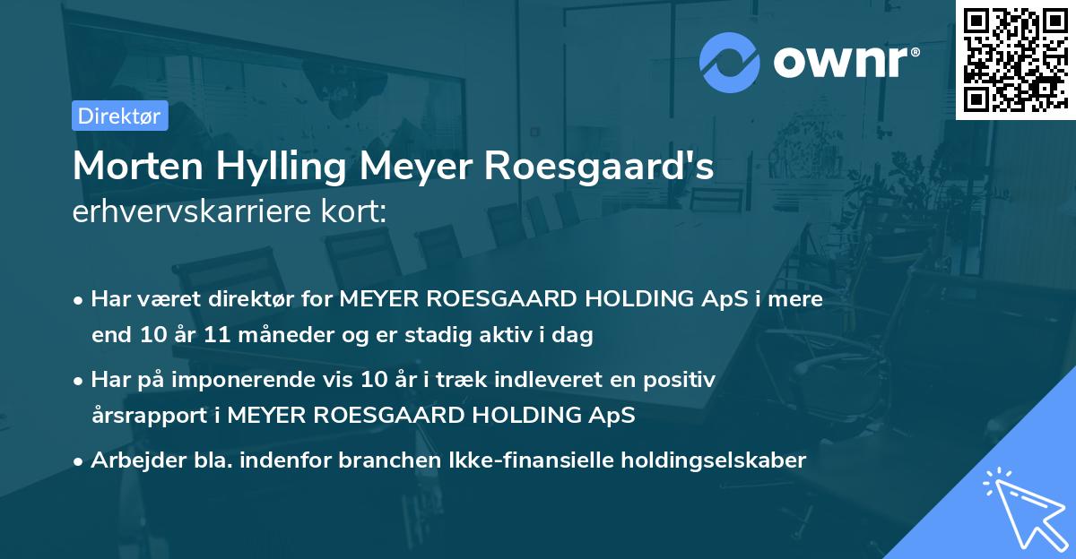 Morten Hylling Meyer Roesgaard's erhvervskarriere kort