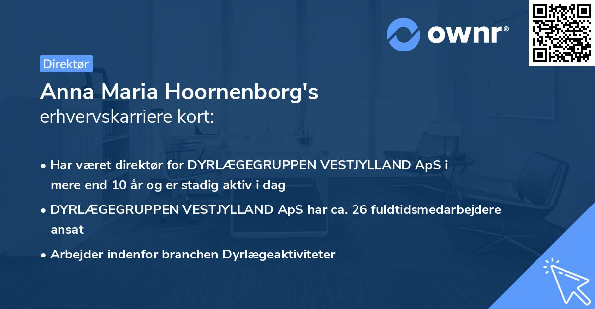 Anna Maria Hoornenborg's erhvervskarriere kort