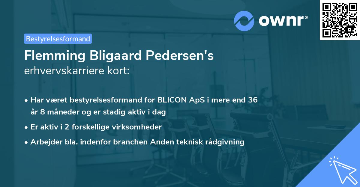 Flemming Bligaard Pedersen's erhvervskarriere kort