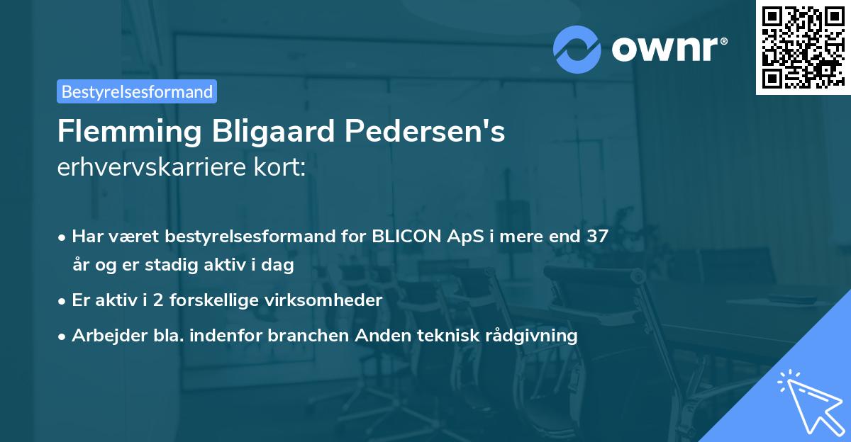 Flemming Bligaard Pedersen's erhvervskarriere kort