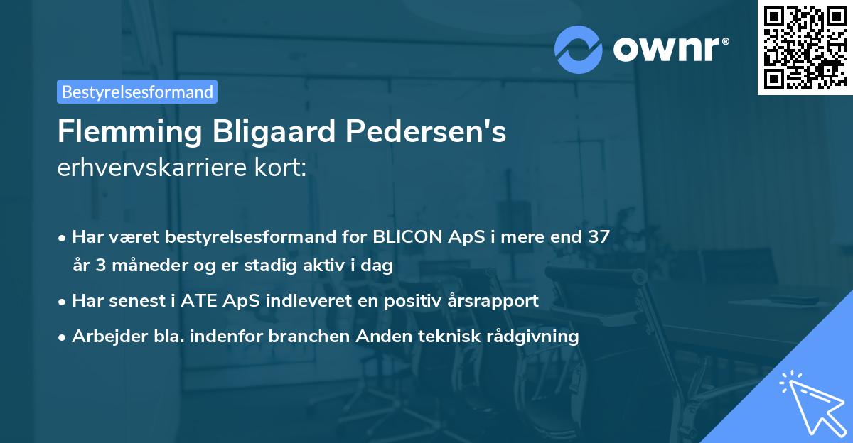 Flemming Bligaard Pedersen's erhvervskarriere kort