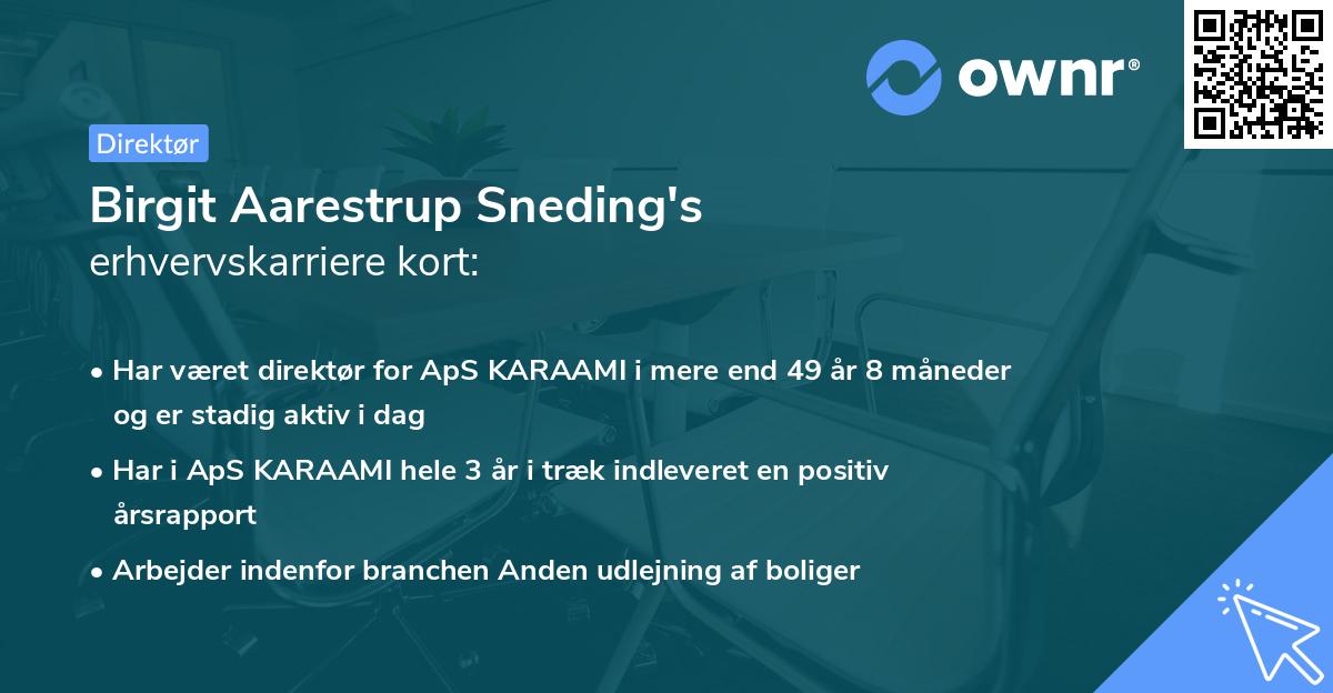 Birgit Aarestrup Sneding's erhvervskarriere kort
