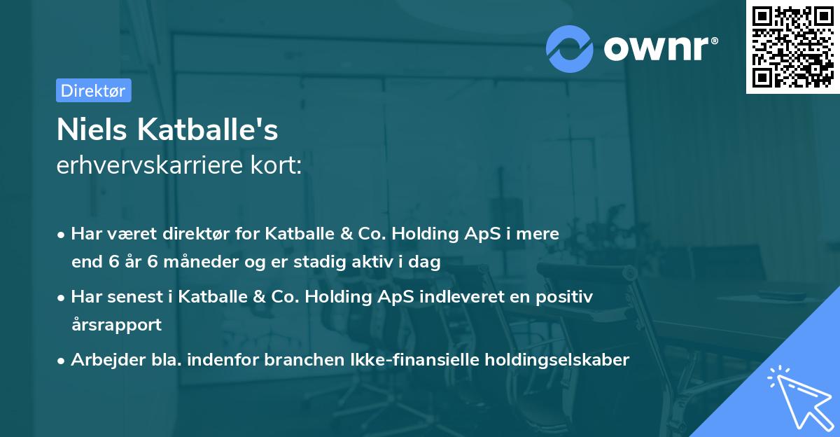 Niels Katballe's erhvervskarriere kort