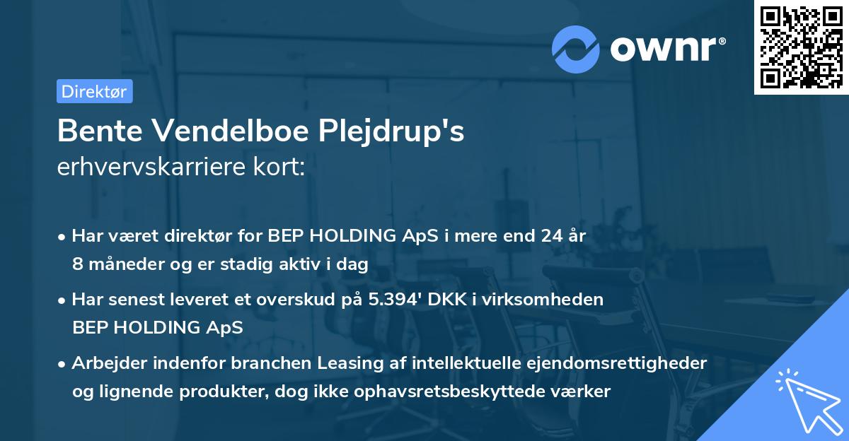 Bente Vendelboe Plejdrup's erhvervskarriere kort