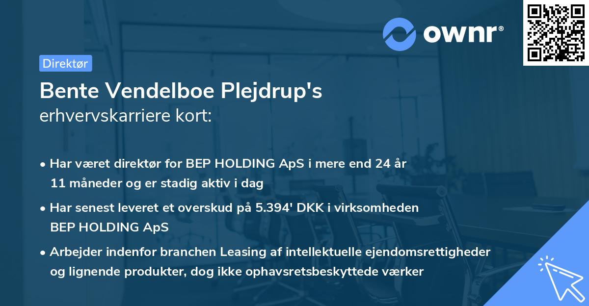 Bente Vendelboe Plejdrup's erhvervskarriere kort
