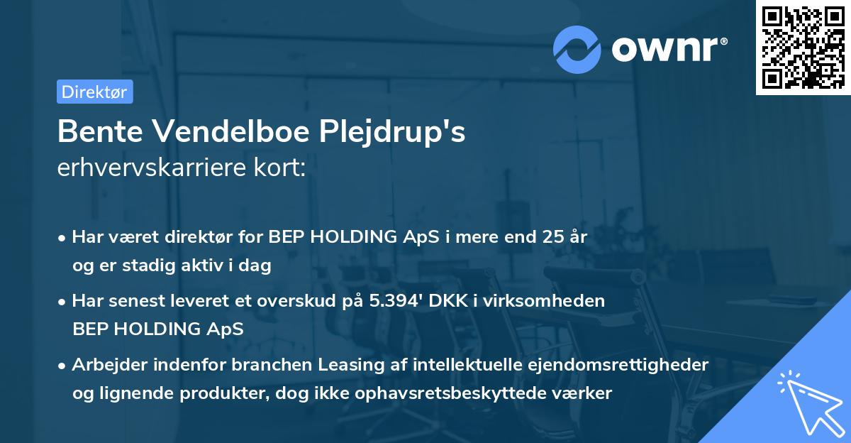 Bente Vendelboe Plejdrup's erhvervskarriere kort