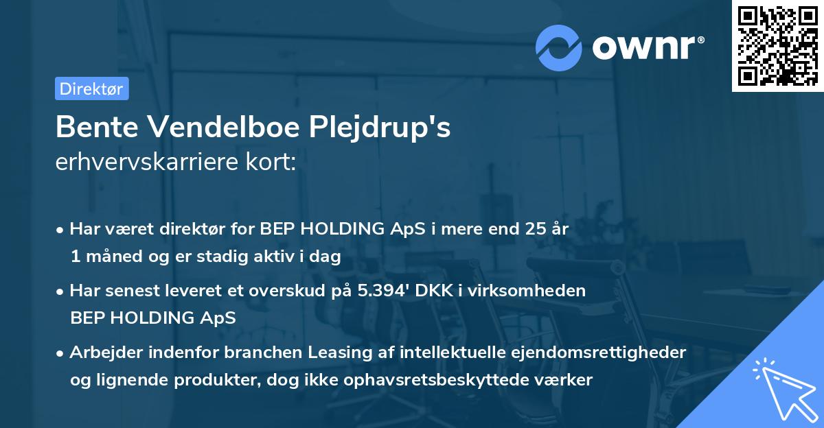 Bente Vendelboe Plejdrup's erhvervskarriere kort