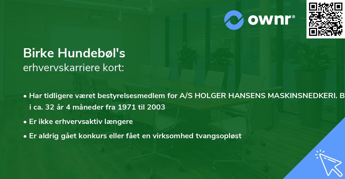 Birke Hundebøl's erhvervskarriere kort