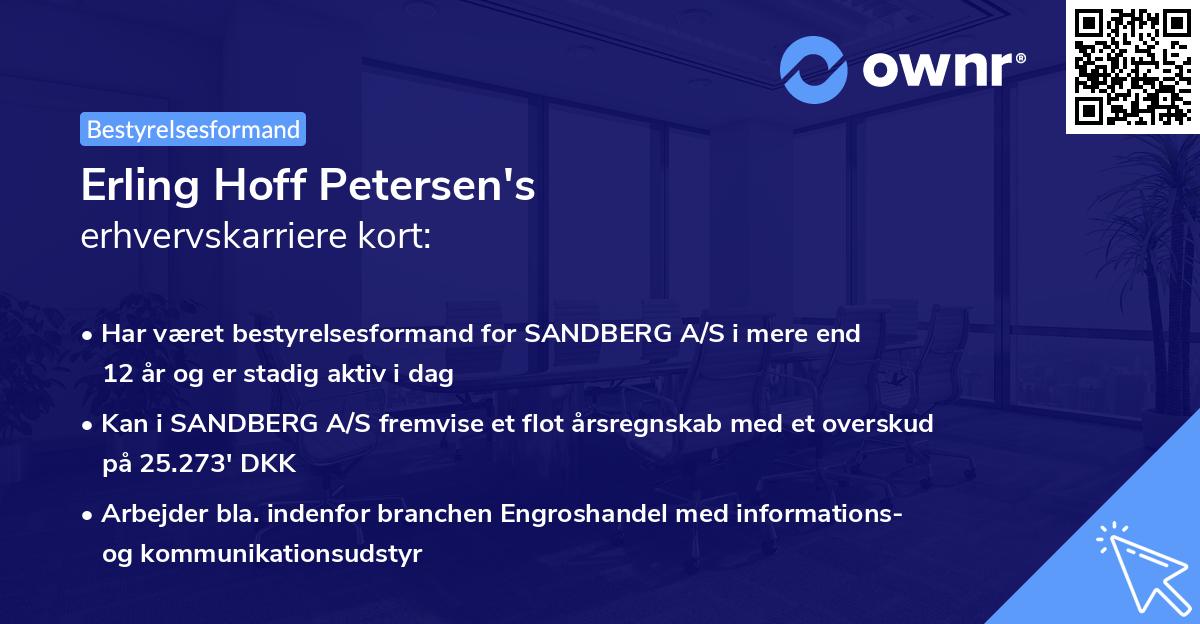 Erling Hoff Petersen's erhvervskarriere kort