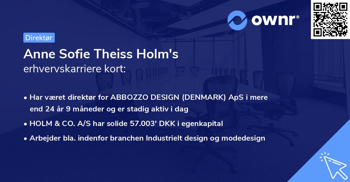 Anne Sofie Theiss Holm's erhvervskarriere kort