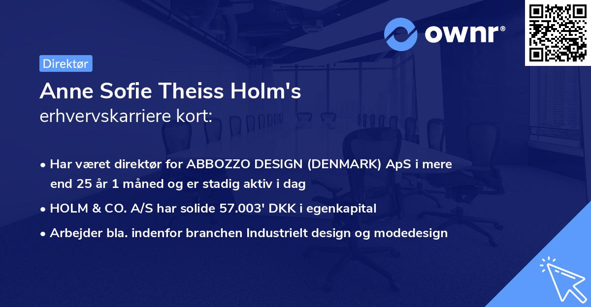 Anne Sofie Theiss Holm's erhvervskarriere kort