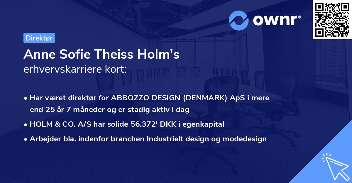 Anne Sofie Theiss Holm's erhvervskarriere kort