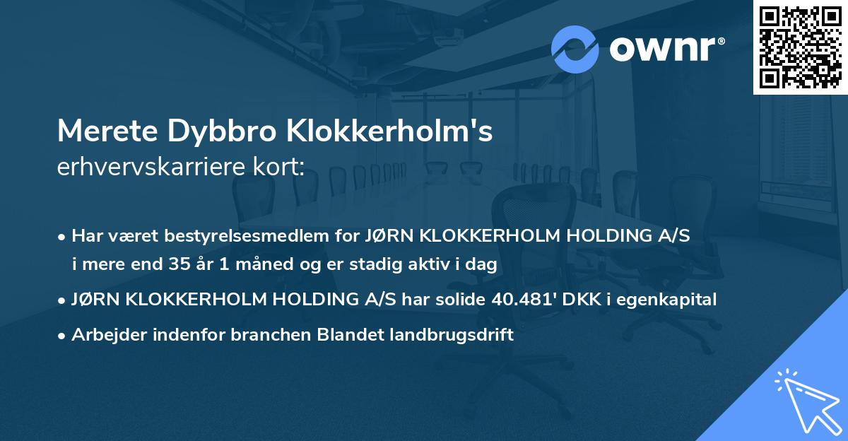 Merete Dybbro Klokkerholm's erhvervskarriere kort