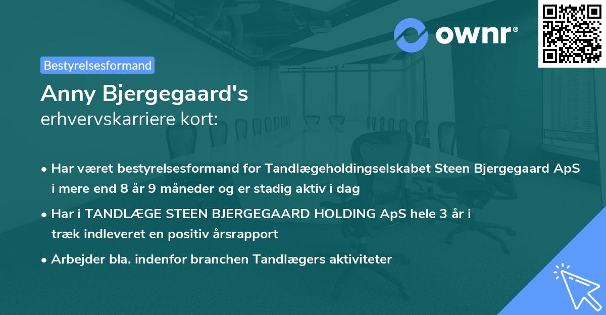 Anny Bjergegaard's erhvervskarriere kort