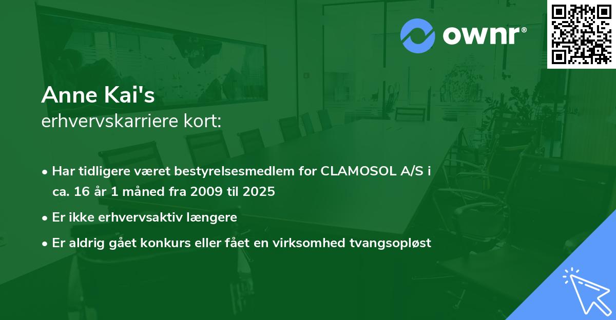 Anne Kai's erhvervskarriere kort