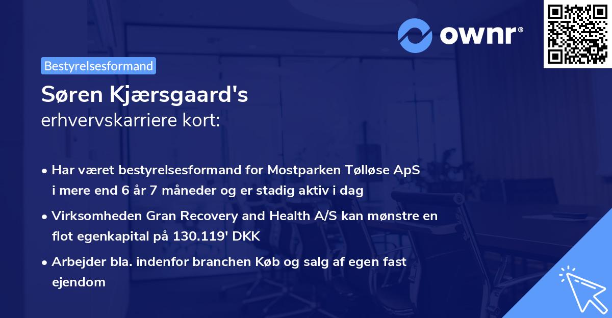 Søren Kjærsgaard's erhvervskarriere kort