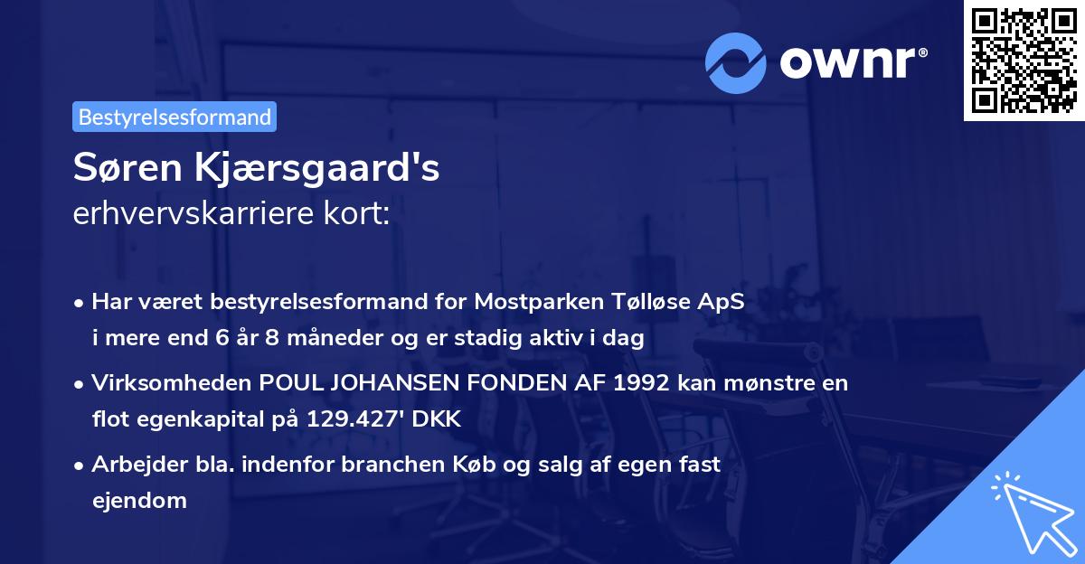 Søren Kjærsgaard's erhvervskarriere kort