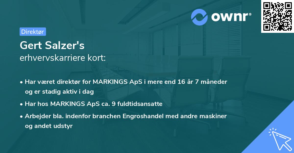 Gert Salzer's erhvervskarriere kort