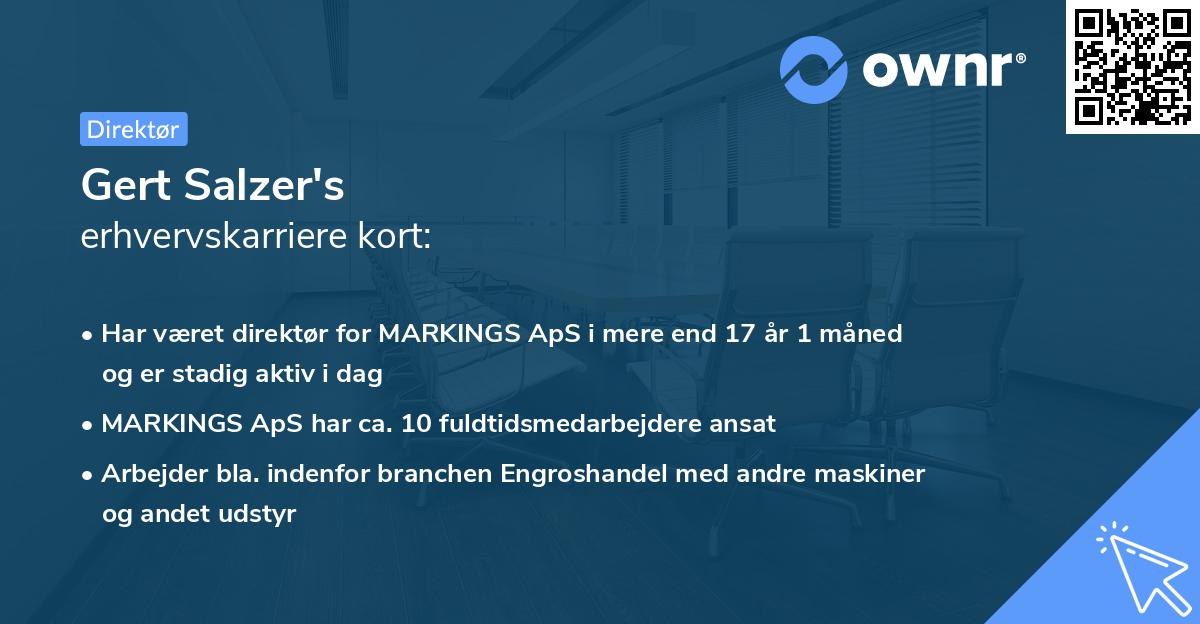Gert Salzer's erhvervskarriere kort