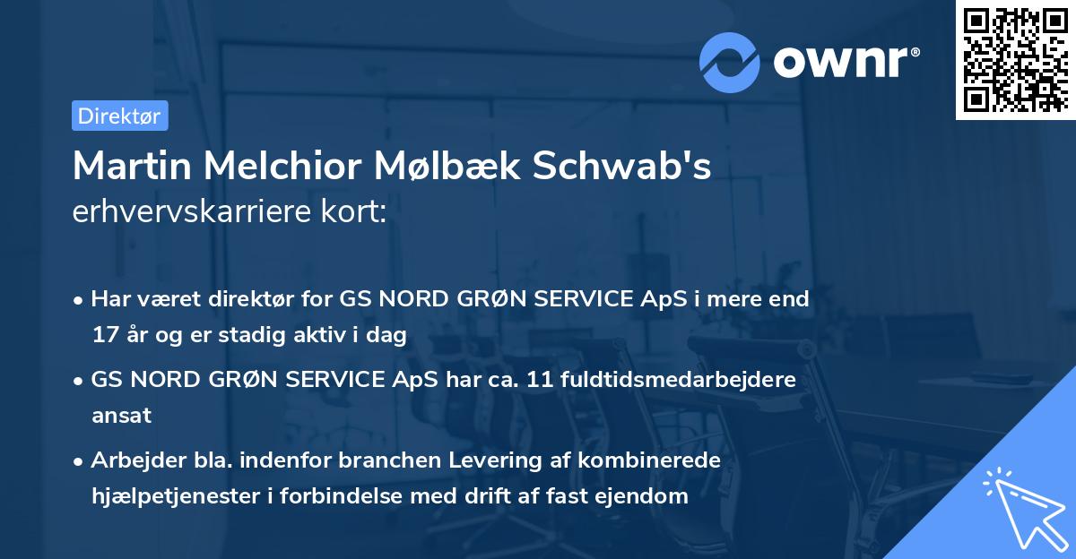 Martin Melchior Mølbæk Schwab's erhvervskarriere kort