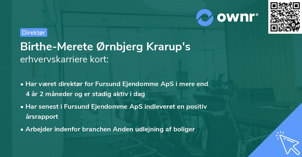 Birthe-Merete Ørnbjerg Krarup's erhvervskarriere kort
