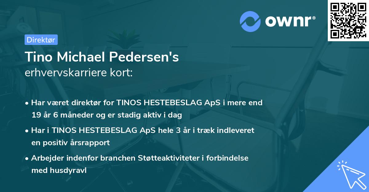 Tino Michael Pedersen's erhvervskarriere kort