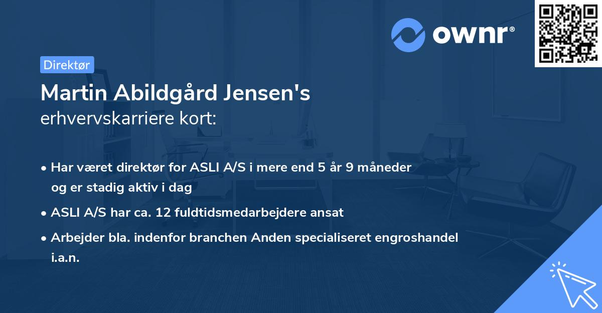 Martin Abildgård Jensen's erhvervskarriere kort