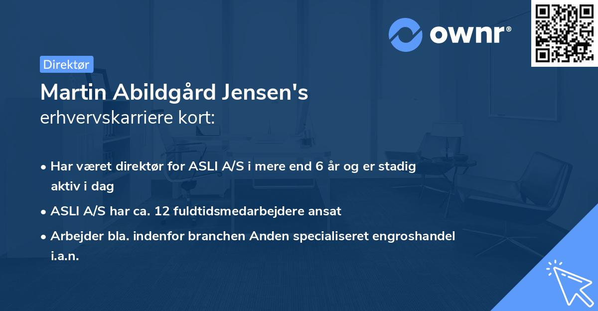 Martin Abildgård Jensen's erhvervskarriere kort