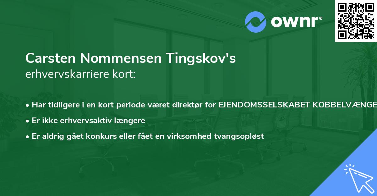Carsten Nommensen Tingskov's erhvervskarriere kort