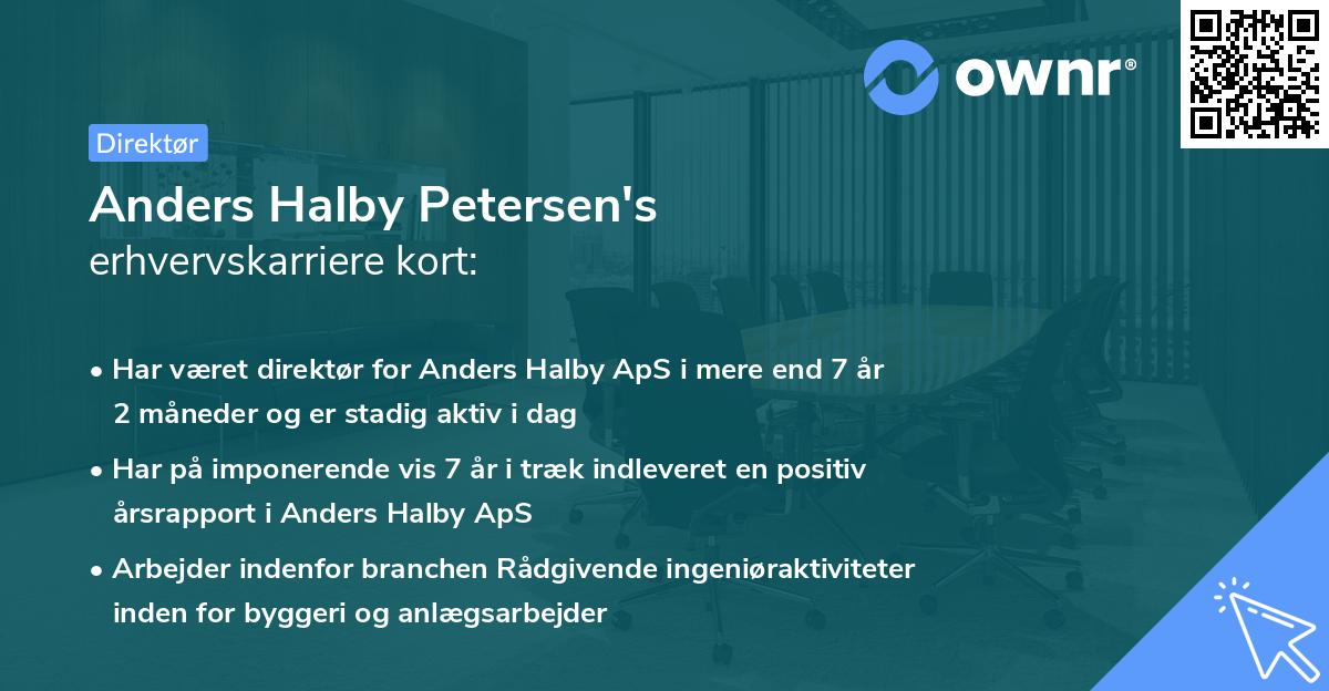 Anders Halby Petersen's erhvervskarriere kort