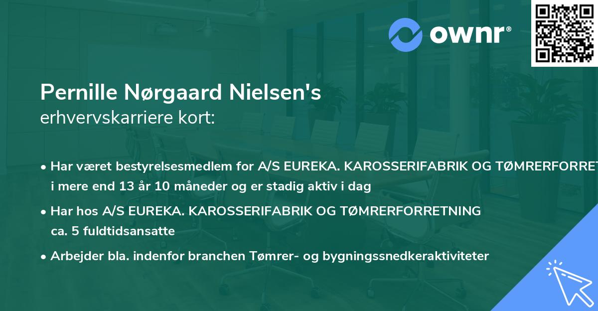 Pernille Nørgaard Nielsen's erhvervskarriere kort